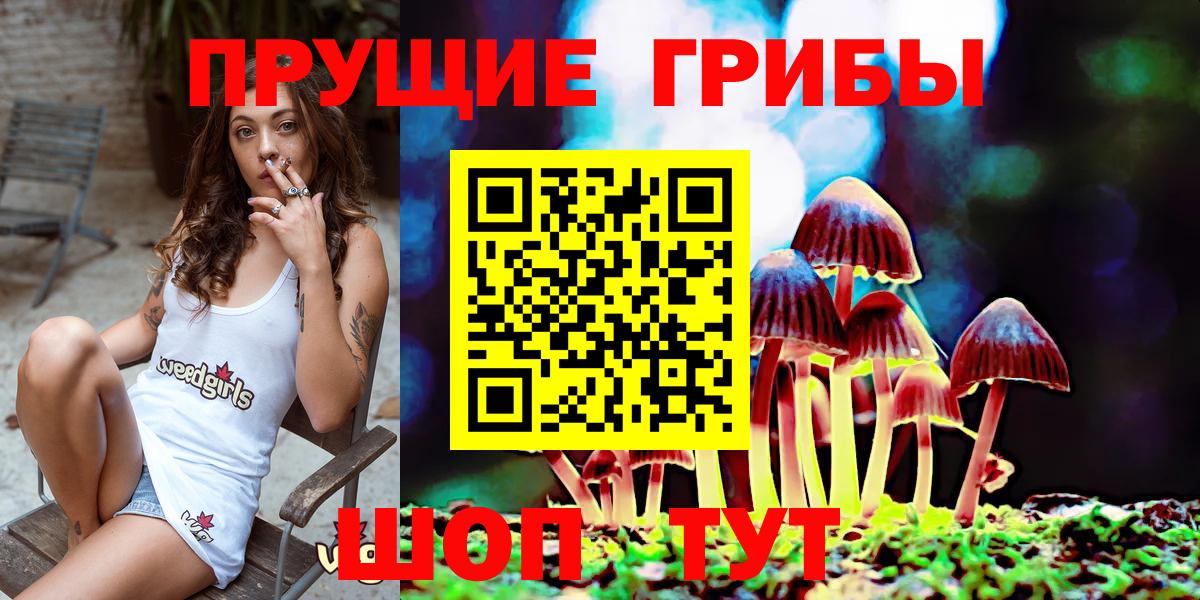 цены   Галлюциногенные грибы MAGIC MUSHROOMS  Вход с VPN  Новочеркасск  Галлюциногенные грибы MAGIC MUSHROOMS 
